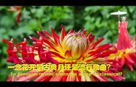 Teochew Opera-广东省百花潮剧院《洛神》复排版
