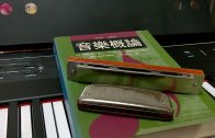 春風吻上我的臉（鄧麗君）/口琴獨奏(Key:bG)-吹奏技巧綜合應用-Yeong-tay Maw