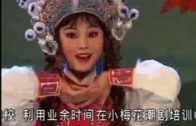 Teochew Opera-广东省百花潮剧院《洛神》复排版