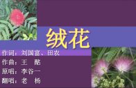Teochew Opera-广东省百花潮剧院《洛神》复排版