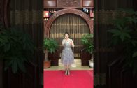 Teochew Opera-广东省百花潮剧院《洛神》复排版