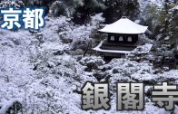 Teochew Opera-广东省百花潮剧院《洛神》复排版