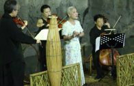 Teochew Opera-广东省百花潮剧院《洛神》复排版