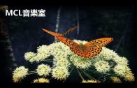 Teochew Opera-广东省百花潮剧院《洛神》复排版