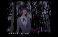張韶涵 Angela Zhang – 親愛的那不是愛情 (官方版MV)