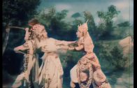 Teochew Opera-广东省百花潮剧院《洛神》复排版