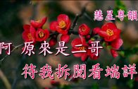 Teochew Opera-广东省百花潮剧院《洛神》复排版