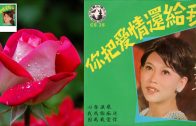 Teochew Opera-广东省百花潮剧院《洛神》复排版