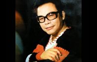 Teochew Opera-广东省百花潮剧院《洛神》复排版