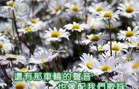 1650727036_hqdefault.jpg