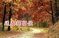 Teochew Opera-广东省百花潮剧院《洛神》复排版
