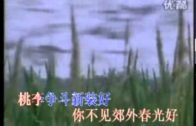 Teochew Opera-广东省百花潮剧院《洛神》复排版