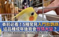 Teochew Opera-广东省百花潮剧院《洛神》复排版