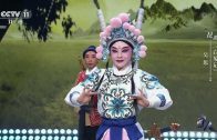 Teochew Opera-广东省百花潮剧院《洛神》复排版