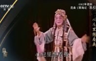 Teochew Opera-广东省百花潮剧院《洛神》复排版