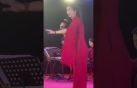 Teochew Opera-广东省百花潮剧院《洛神》复排版