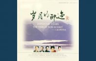 Teochew Opera-广东省百花潮剧院《洛神》复排版