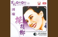 Teochew Opera-广东省百花潮剧院《洛神》复排版