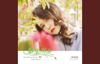 Teochew Opera-广东省百花潮剧院《洛神》复排版