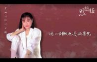 Teochew Opera-广东省百花潮剧院《洛神》复排版