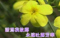 Teochew Opera-广东省百花潮剧院《洛神》复排版