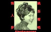 Teochew Opera-广东省百花潮剧院《洛神》复排版