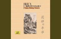 Teochew Opera-广东省百花潮剧院《洛神》复排版