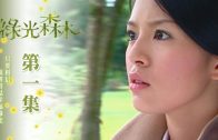 Teochew Opera-广东省百花潮剧院《洛神》复排版