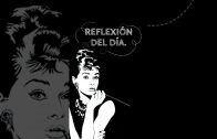 1660654600_maxresdefault.jpg