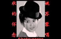Teochew Opera-广东省百花潮剧院《洛神》复排版