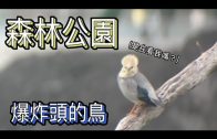 Teochew Opera-广东省百花潮剧院《洛神》复排版