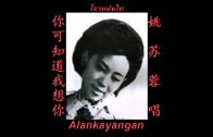 Teochew Opera-广东省百花潮剧院《洛神》复排版