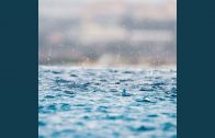 1662277772_maxresdefault.jpg