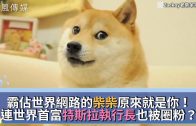 Teochew Opera-广东省百花潮剧院《洛神》复排版