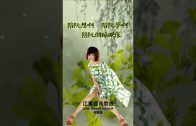 Teochew Opera-广东省百花潮剧院《洛神》复排版