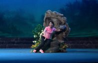 Teochew Opera-广东省百花潮剧院《洛神》复排版