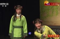 Teochew Opera-广东省百花潮剧院《洛神》复排版