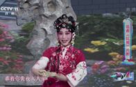 Teochew Opera-广东省百花潮剧院《洛神》复排版