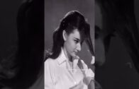 Teochew Opera-广东省百花潮剧院《洛神》复排版
