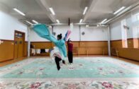 Teochew Opera-广东省百花潮剧院《洛神》复排版