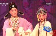 Teochew Opera-广东省百花潮剧院《洛神》复排版