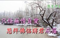 Teochew Opera-广东省百花潮剧院《洛神》复排版
