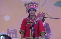 Teochew Opera-广东省百花潮剧院《洛神》复排版