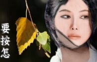 Teochew Opera-广东省百花潮剧院《洛神》复排版