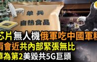 Teochew Opera-广东省百花潮剧院《洛神》复排版