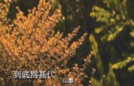 Teochew Opera-广东省百花潮剧院《洛神》复排版