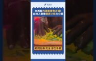 Teochew Opera-广东省百花潮剧院《洛神》复排版