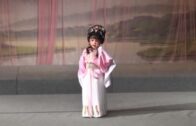 Teochew Opera-广东省百花潮剧院《洛神》复排版