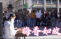 Teochew Opera-广东省百花潮剧院《洛神》复排版