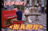 Teochew Opera-广东省百花潮剧院《洛神》复排版